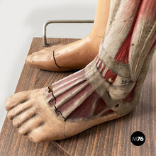 画像をギャラリービューアに読み込む, Anatomical mannequin, 1960s