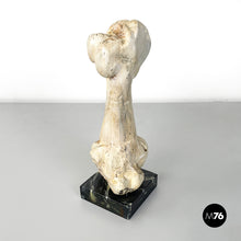 画像をギャラリービューアに読み込む, Wooden sculpture of a bone by N.F. Puccio, 1990s
