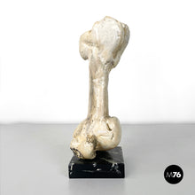 画像をギャラリービューアに読み込む, Wooden sculpture of a bone by N.F. Puccio, 1990s