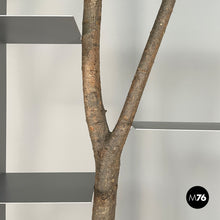 Load image into Gallery viewer, Bookcase Piccolo Albero by Andrea Branzi for Design Gallery Milano, 1991