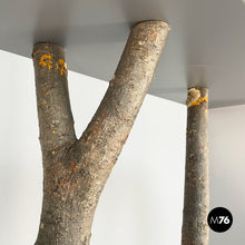 Load image into Gallery viewer, Bookcase Piccolo Albero by Andrea Branzi for Design Gallery Milano, 1991