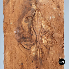 画像をギャラリービューアに読み込む, Terracotta sculpture by Edmondo Cirillo, 1996