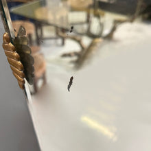 画像をギャラリービューアに読み込む, Rectangular wall mirror with rounded corners, 1950s