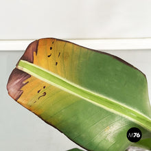 Load image into Gallery viewer, Wooden sculpture of a banana plant, 1950s