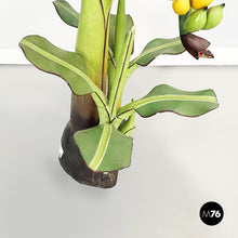 Load image into Gallery viewer, Wooden sculpture of a banana plant, 1950s
