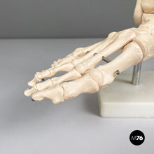 Load image into Gallery viewer, Scientific anatomical model of the foot bones in plastic, 2000s
