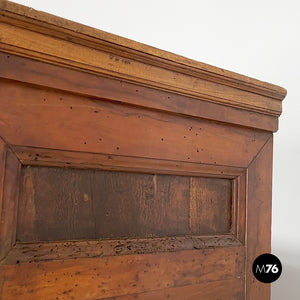 Wooden wardrobe with decorated doors, 1800s