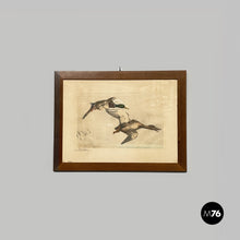 Carica l'immagine nel visualizzatore di Gallery, Painting of ducks on paper, 1960s

