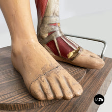 画像をギャラリービューアに読み込む, Anatomical mannequin, 1960s
