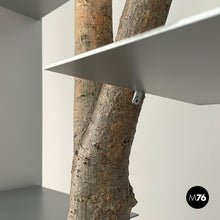 Load image into Gallery viewer, Bookcase Piccolo Albero by Andrea Branzi for Design Gallery Milano, 1991
