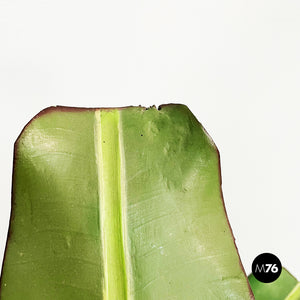 Wooden sculpture of a banana plant, 1950s