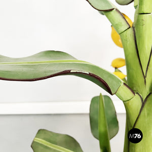 Wooden sculpture of a banana plant, 1950s